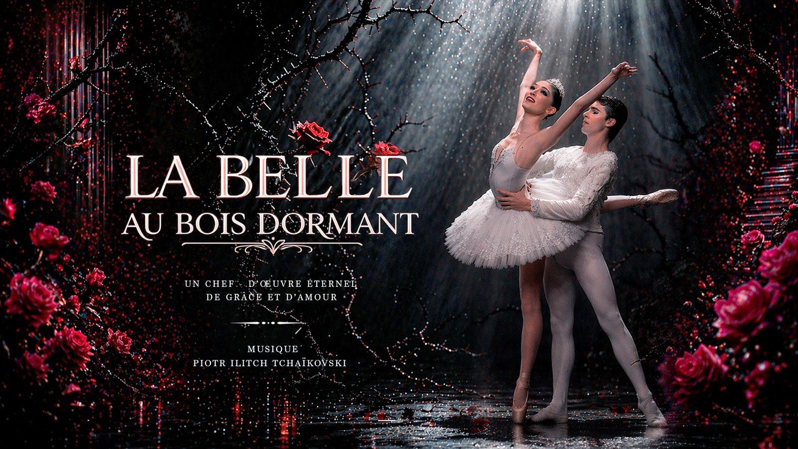 изображение_viber_2026-04-23_20-43-08-164