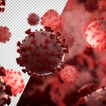 cut-out-microscopic-close-up-of-the-coronavirus-covid-19-disease_117023-1603